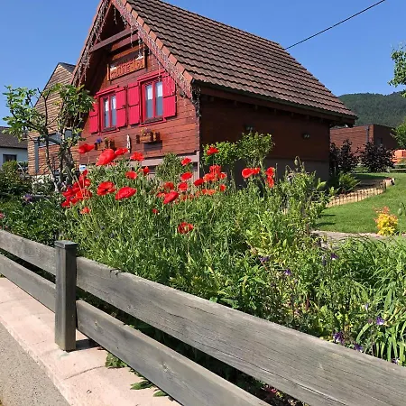Colline Et Lou Dağ evi Wintzfelden