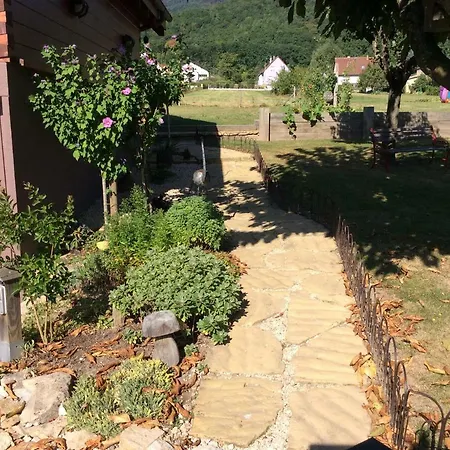 Colline Et Lou Wintzfelden