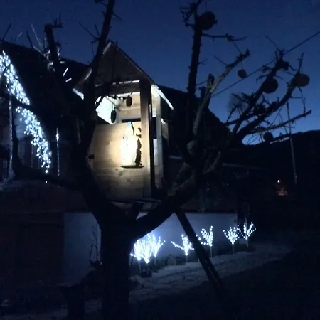 Colline Et Lou Wintzfelden